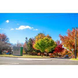 Anaiwan Country (Armidale, NSW) by Thai Nguyen