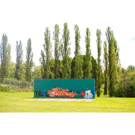 Anaiwan Country (Armidale, NSW) by Thai Nguyen
