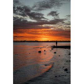 Gubbi Gubbi Country (Moreton Bay, Qld) by Amy Thomas