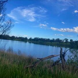 Wiradjuri Country (Orange, NSW)  by Cheyanne Lonsdale