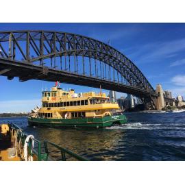 Cammeraygal Country (North Sydney, NSW) by Louise de Freitas