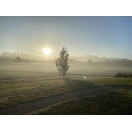 Wiradjuri Country (Orange, NSW) by Lucy Willis