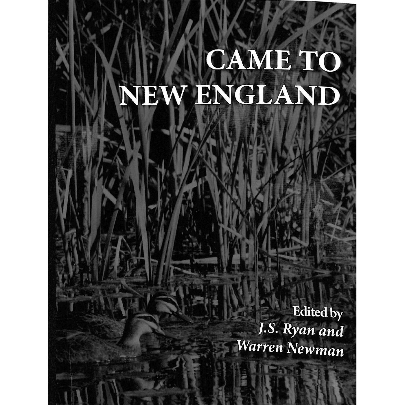Came to New England