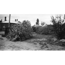 Aftermath of tornado, Armidale, 1954