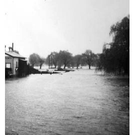 Dumaresq Creek in flood, near the Armidale Butter Factory, August 1949