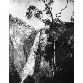 [Wollomombi Falls or Dangar Falls]