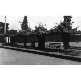 Armidale Bowling Club greens Beardy Street, 1980 