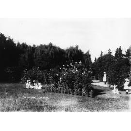 Park at Glenn Innes