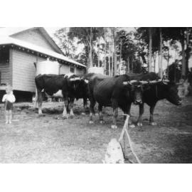 Cascade Public School, 1938