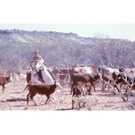 Mustering [1958]