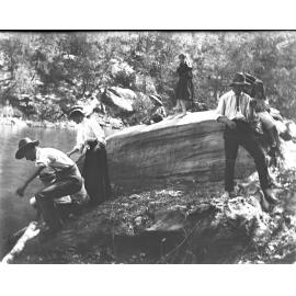 Adults and children on rocks by a stream