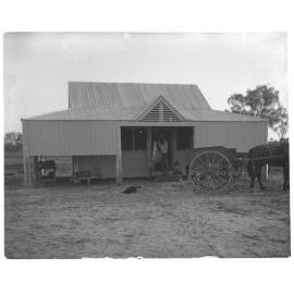 Butcher's shop, 1905