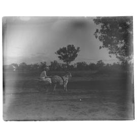 Girl riding a buggy pulled by a goat