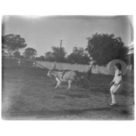Girl chasing after a boy in a buggy being pulled by a goat