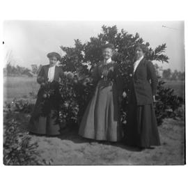 Three women standing in front of a fruit tree