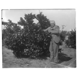 Man in front of a fruit tree