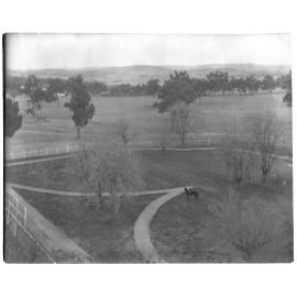 Elevated view of a paddock with a person riding a horse