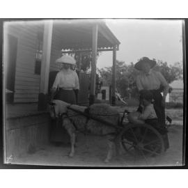 Boy in a goat-drawn buggy with two women standing nearby