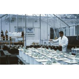 Plant research, UNE