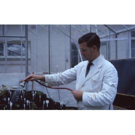 Plant research, UNE