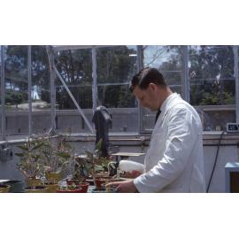 Plant research, UNE