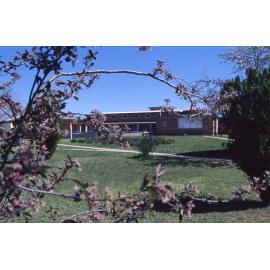 View towards Wright College through the trees, UNE