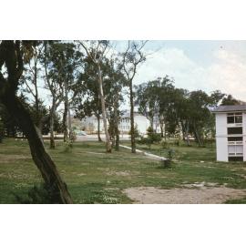 University grounds near Wright College, UNE