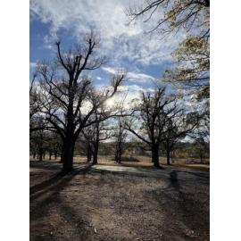 Anaiwan Country (Armidale, NSW) by Nadia Jelani