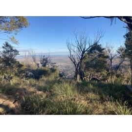 Kamilaroi Country (Tamworth, NSW) by Isabella Parker