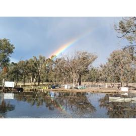 Kwiambal Country (Ashford, NSW) by Elizabeth Gilroy