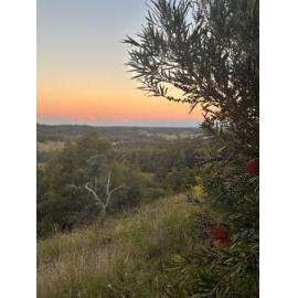 Gumbaynggirr Country (Nambucca Heads, NSW) by Agustina Roberts
