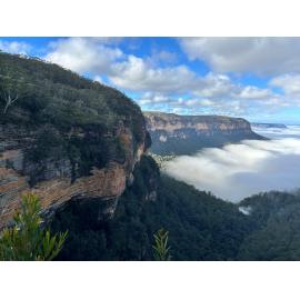 Ngurra Country (Wentworth Falls, NSW) by Maurice Cheong