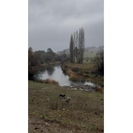 Anaiwan Country (Armidale, NSW) by Rachael Ferris