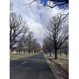 Anaiwan Country (Armidale, NSW) by Ishari Pahala Gamage