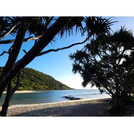 Kombumerri Country (Burleigh Heads, Qld) by Sherry Sayer