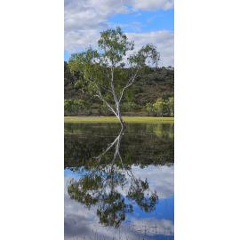Kalkadoon Country (Mount Isa, Qld) by Jane Metcalfe