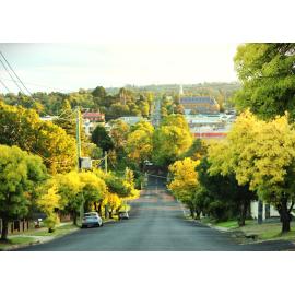 Anaiwan Country (Armidale, NSW) by Nivetha Sivarajah