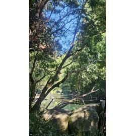 Gumbaynggirr Country () by Jane Metcalfe