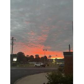 Anaiwan Country (Uralla, NSW) by Isabella Murray