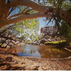 Kalkadoon Country (Mount Isa, Qld) by Jane Metcalfe