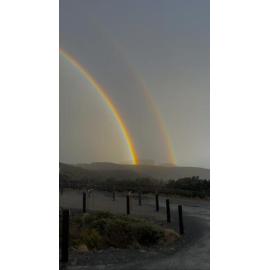 Turrakana Country (Port Arthur, Tas) by Taylah Anderton