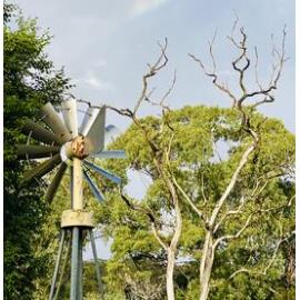 Dharawal Country (Sutherland, NSW) by Diane Anderson