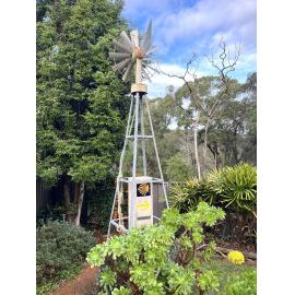Dharawal Country (Sutherland, NSW) by Diane Anderson