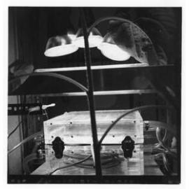 Research at Laureldale Meteorological Station