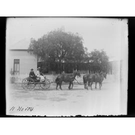 One man and women outside a house in a horse-drawn carraige