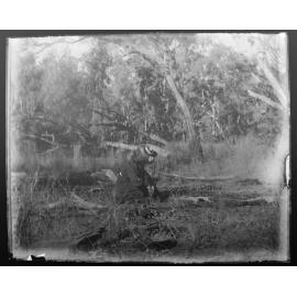 Woman preparing a picnic, Wallan, NSW, 1906