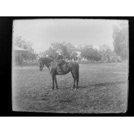 Girl on horseback