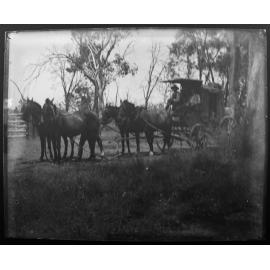 Horse-drawn carriage