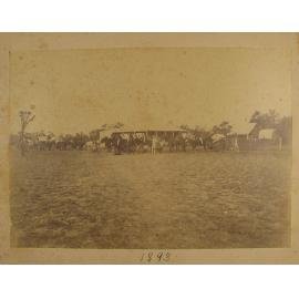 Men and horses, Welltown homestead, 1893