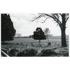 View towards Wright College from behind some trees, 1962